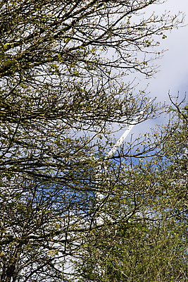 포토 JPG 해외이미지 나무 구름 계절 잎 농업 자연 하늘 풍경 사람없음 야외 초록색 여름 파란색 농장 환경 힘 봄 풍차 에너지 나뭇가지 시골 신선 숲 장면 아일랜드 내추럴 밭일 해외202004 해외포토 자연요소 식물 유럽 산업 컬러 생태계 파일형식 이미지허브