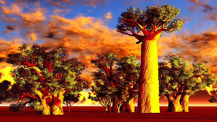 포토 JPG 해외이미지 모양 나무 식물 공원 실루엣 야생동물 여행 아프리카 자연 하늘 풍경 사람없음 야외 빨간색 파란색 빛 세트 세계 태양 노란색 일출 환경 황혼 일몰 나뭇가지 원주민 큼 사파리 윤곽 내추럴 마다가스카르 사바나 옛날 이국적 전국 해외202004 해외포토 자연요소 동물 공공시설 나라 컬러 촬영기법 노을 아프리카인 크기 생태계 파일형식 이미지허브