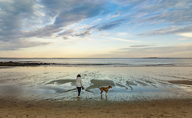 포토 JPG 해외이미지 동물 커플 행복 모래 파도 바다 여행 회사 관계 자연 하늘 휴가 파노라마 사랑 미소 풍경 사람없음 여름 반려동물 평화 맑음 일몰 우정 개 수평선 카피스페이스 해외202004 해외포토 계절 감정 컨셉 비즈니스 포유류 날씨 촬영기법 표정 친구 노을 공백 생태계 파일형식 이미지허브