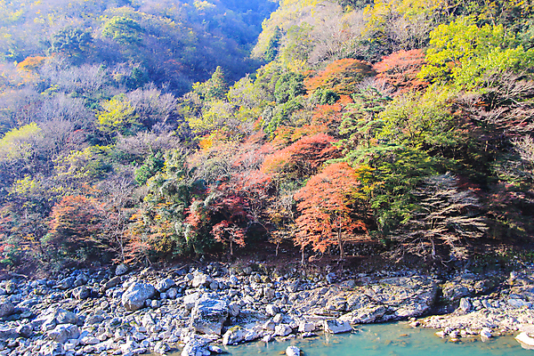 포토 JPG 해외이미지 나무 식물 계절 공원 실루엣 도로 여행 백그라운드 무지개 잎 패턴 자연 하늘 지붕 휴식 풍경 사람없음 빨간색 파란색 빛 컬러풀 햇빛 태양 정원 일본 활발 덮개 가을 나뭇가지 신선 보행로 닫기 숲 그늘 오솔길 강렬 해외202004 해외포토 자연요소 공공시설 아시아 길 컬러 컨셉 무늬 교통시설 모션 촬영기법 뚜껑 생태계 파일형식 이미지허브