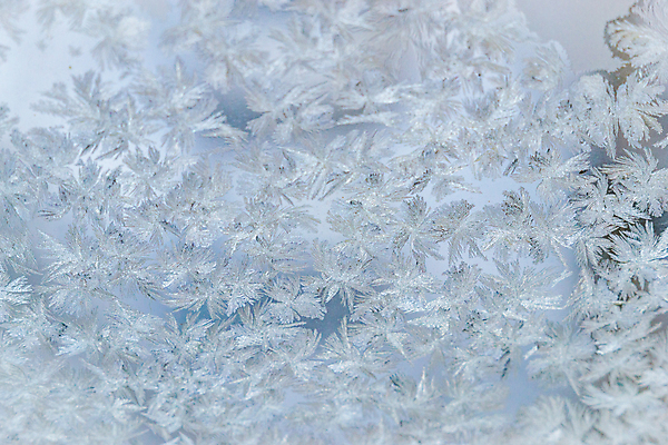 포토 JPG 해외이미지 디자인 계절 백그라운드 크리스마스 겨울 패턴 창문 자연 유리 날씨 추상 불꽃 새로움 사람없음 파란색 반짝임 냉동 얼음 추위 신선 눈송이 크리스탈 연도 질감 서리 온도 내추럴 반투명 해외202004 해외포토 자연요소 기념일 컬러 컨셉 무늬 모션 재질 불 눈_날씨 광석 생태계 파일형식 이미지허브