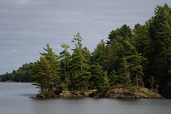 포토 JPG 해외이미지 공원 호수 여행 자연 풍경 사람없음 야외 물 여름 햇빛 황무지 숲 장면 암초 북쪽 서식지 내추럴 감탄 삼림지대 해외202004 해외포토 자연요소 계절 공공시설 태양 방향 생태계 파일형식 이미지허브