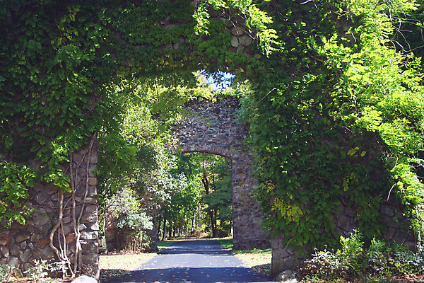 포토 JPG 해외이미지 벽 건축양식 벽돌 출입구 주택 사람없음 건물 초록색 문 바위 입장 아이비 옛날 해외202004 해외포토 식물 건축물 건축 컬러 돌_바위 파일형식 이미지허브