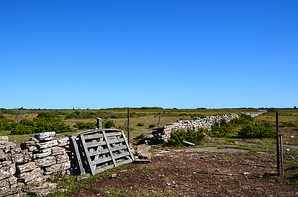포토 JPG 해외이미지 식물 계절 벽 섬 농업 자연 벽지 하늘 돌담 파노라마 스웨덴 풍경 사람없음 초록색 여름 파란색 세계 햇빛 태양 농경지 평화 환경 맑음 바위 시골 신선 재산 큼 땅 대문 장면 내추럴 밭일 석회암 스칸디나비아 평야 향나무 해외202004 해외포토 자연요소 나무 산업 컬러 컨셉 날씨 촬영기법 북유럽 금융 담장 농장 문 암석 돌_바위 크기 생태계 파일형식 이미지허브