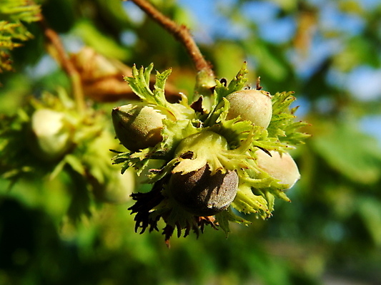 포토 JPG 해외이미지 사람없음 해외202004 해외포토 파일형식 이미지허브