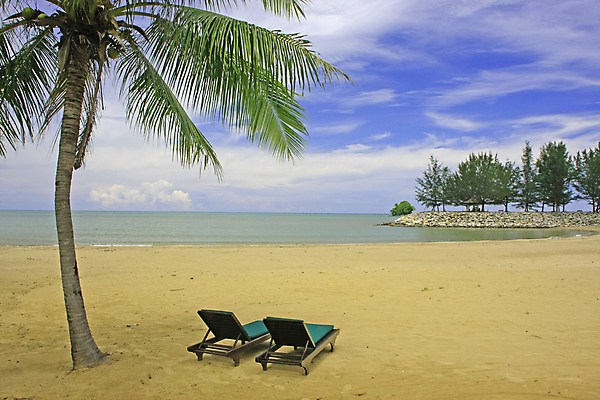 포토 JPG 해외이미지 나무 구름 모래 바다 여행 의자 하늘 휴가 사람없음 모래사장 파라다이스 해외202004 해외포토 자연요소 식물 가구 파일형식 이미지허브