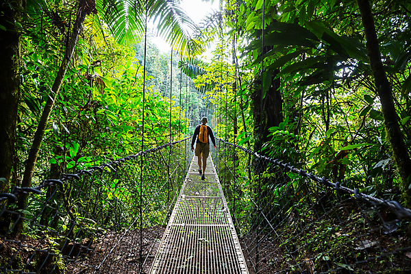 포토 JPG 해외이미지 나무 식물 공원 길 여행 자국 자연 산 매달리기 한명 풍경 야외 초록색 여름 여행객 환경 미국 트래킹 폭포 하이킹 관찰 숲 오솔길 열대우림 지역 내추럴 방법 백패커 산악가 전국 코스타리카 하이커 혼자 해외202004 해외포토 1 계절 공공시설 컬러 북아메리카 모션 레저 사람 중앙아메리카 생태계 파일형식 이미지허브