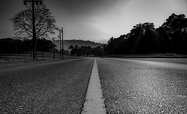 포토 JPG 해외이미지 나무 도로 길 백그라운드 컨셉 교통시설 하늘 흑백 풍경 근접촬영 사람없음 야외 고속도로 아스팔트 직진 해외202004 해외포토 식물 뷰포인트 교통 촬영기법 시설 파일형식 이미지허브