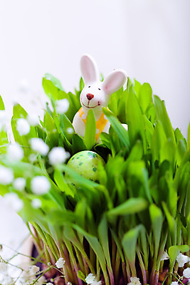 포토 JPG 해외이미지 동물 계절 행복 패턴 휴가 사람없음 장식 컬러풀 흰색 축하 유머 부활절계란 해외202004 해외포토 감정 컬러 컨셉 무늬 부활절 계란 파일형식 이미지허브