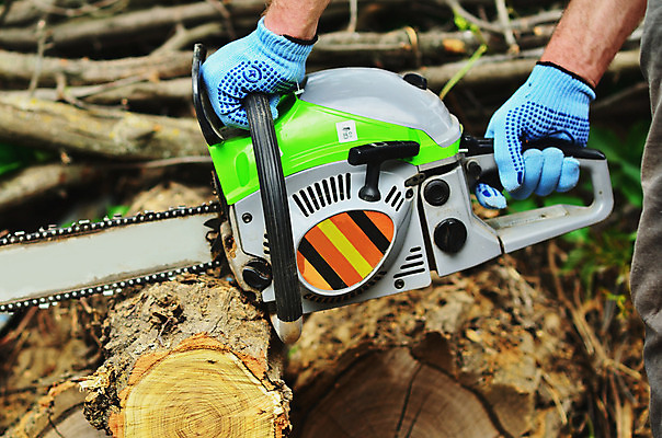 포토 JPG 해외이미지 나무 직업 손 산업 포즈 자연 노동자 수염 사람 성인 사람없음 야외 목재 빛 갈색 힘 기계 일몰 장비 공구 소나무 업무 칼날 숲 헬멧 장작 자르기 통나무 먼지 도끼 잡동사니 벌목 솜씨 수목 재주꾼 전기톱 톱밥 해외202004 해외포토 식물 컬러 재료 모션 신체부위 노을 도구 작업 보호장비 가루 생태계 톱 파일형식 이미지허브