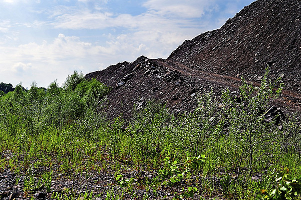 포토 JPG 해외이미지 나무 산업 지구 자연 하늘 표면 풍경 사람없음 물 여름 강 쌓기 환경 금속 흙 장비 바위 시골 업무 황금 보호 버리기 발굴 수납 흙더미 낭비 내추럴 개발 땅바닥 생태학 석탄 옛날 채석 해외202004 해외포토 자연요소 식물 계절 교육 컨셉 모션 재질 바닥 돌_바위 작업 생태계 파일형식 더미 이미지허브
