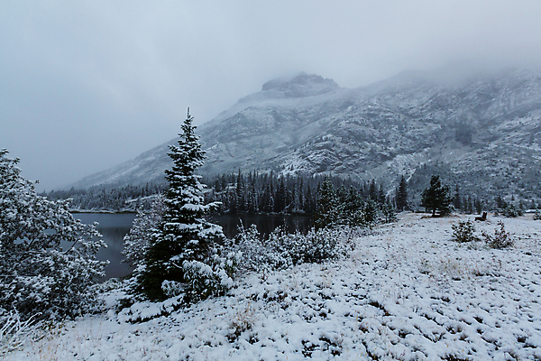 포토 JPG 해외이미지 계절 공원 호수 야생동물 여행 크리스마스 겨울 자연 휴가 산 풍경 사람없음 야외 물 여름 태양 평화 맑음 미국 침묵 트래킹 하이킹 수확 가을 소나무 황무지 빙하 지형 격려 북쪽 전국 특별함 해외202004 해외포토 자연요소 나무 동물 공공시설 기념일 감정 컨셉 북아메리카 농업 모션 레저 날씨 소리 방향 생태계 파일형식 이미지허브