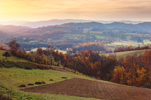포토 JPG 해외이미지 유럽 밭 농업 자연 하늘 아침 산 주택 풍경 사람없음 목재 가로 농작물 농장 마을 계곡 황혼 새벽 안개 가을 시골 정상 숲 땅 언덕 그림 유기농 시골집 휴양지 좁은 겹침 내추럴 산악지대 땅바닥 발칸반도 세르비아 목가 해외202004 해외포토 주간 자연요소 나무 웰빙 계절 나라 산업 재료 날씨 바닥 건물 일몰 장소 생태계 파일형식 이미지허브