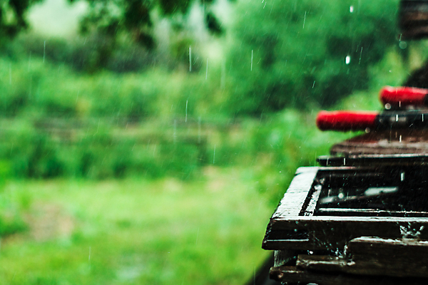 포토 JPG 해외이미지 나무 식물 계절 공원 지구 줄기 잎 오렌지 자연 하늘 추상 새로움 요정 풍경 사람없음 야외 목재 빨간색 빛 햇빛 노란색 걷기 침묵 안개 성장 가을 나뭇가지 시골 황무지 황금 숲 오솔길 9월 11월 장면 지역 멀리 잡동사니 빛망울 10월 해외202004 해외포토 공공시설 길 컬러 컨셉 무늬 과일 재료 모션 날씨 태양 소리 날짜 생태계 파일형식 이미지허브