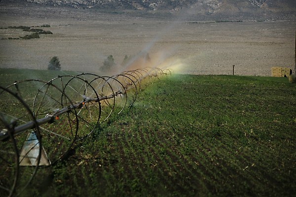 포토 JPG 해외이미지 식물 음식 여행 농업 채소 자연 밥 풍경 사람없음 야외 초록색 물 여름 농작물 농장 기계 장비 수확 시골 땅 언덕 유기농 분무기 시스템 논밭 땅바닥 밭일 스프링쿨러 해외202004 해외포토 자연요소 웰빙 계절 산업 컬러 밭 바닥 논 생태계 파일형식 이미지허브