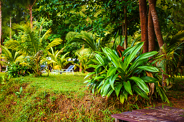 포토 JPG 해외이미지 식물 디자인 계절 꽃잎 벽 백그라운드 컨셉 잎 패턴 일러스트 자연 벽지 추상 건강 미술 사람없음 야외 목재 그래픽 장식 초록색 물 여름 빛 우주 환경 정원 봄 성장 신선 숲 즐거움 에코 유기농 질감 내추럴 스타일 해외202004 해외포토 자연요소 나무 웰빙 꽃 감정 컬러 무늬 재료 문화예술 생태계 파일형식 이미지허브