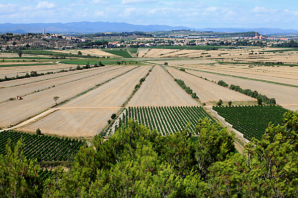 포토 JPG 해외이미지 밭 자연 하늘 산 사람없음 프랑스 원형 역사 심볼 옛날 해외202004 해외포토 도형 유럽 농업 생태계 파일형식 이미지허브