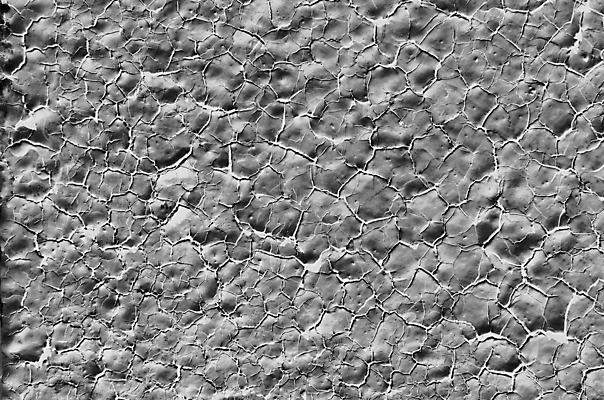 포토 JPG 해외이미지 디자인 외관 벽 조각 백그라운드 패턴 건축양식 표면 날씨 추상 프레임 미술 사람없음 페인트 줄무늬 손상 수확 골동품 흰색 거친 균열 버리기 묘사 질감 복고 내추럴 구식 그런지 옛날 해외202004 해외포토 건축 컬러 컨셉 무늬 농업 모션 문화예술 파일형식 이미지허브