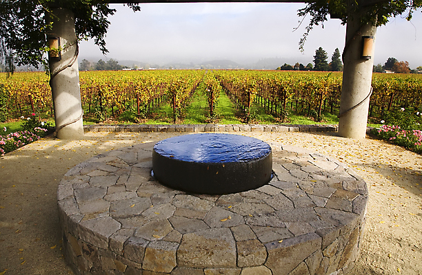 포토 JPG 해외이미지 식물 음식 잎 밭 농업 과일 자연 포도 건강 풍경 사람없음 야외 초록색 여름 농장 와인 정원 계곡 수확 안개 성장 가을 시골 신선 분수 캘리포니아 포도나무 밭일 양조장 해외202004 해외포토 계절 산업 컬러 날씨 주류 미국 과일나무 생태계 파일형식 이미지허브