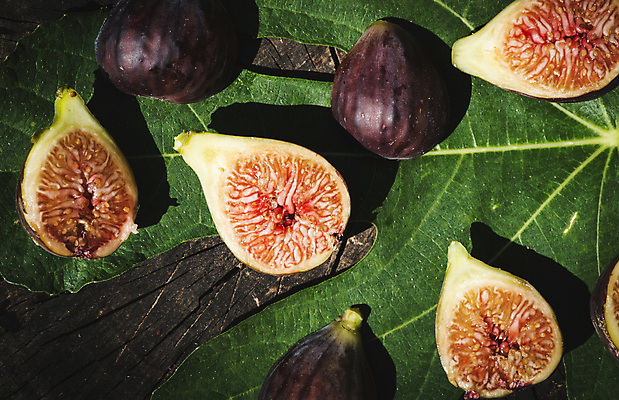 포토 JPG 해외이미지 음식 백그라운드 잎 다이어트 과일 재료 자연 건강 씨앗 사람없음 목재 빨간색 초록색 컬러풀 보라색 가을 신선 달콤 자르기 제비꽃 유기농 날것 무화과 내추럴 숙성 이국적 해외202004 해외포토 나무 식물 웰빙 계절 꽃 컬러 모션 맛 생태계 파일형식 이미지허브