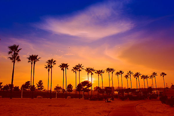 포토 JPG 해외이미지 식물 구름 모래 바다 여행 자연 하늘 휴가 풍경 사람없음 야외 여름 빛 햇빛 황혼 일몰 새벽 가을 황금 해외202004 해외포토 자연요소 계절 태양 노을 생태계 파일형식 이미지허브