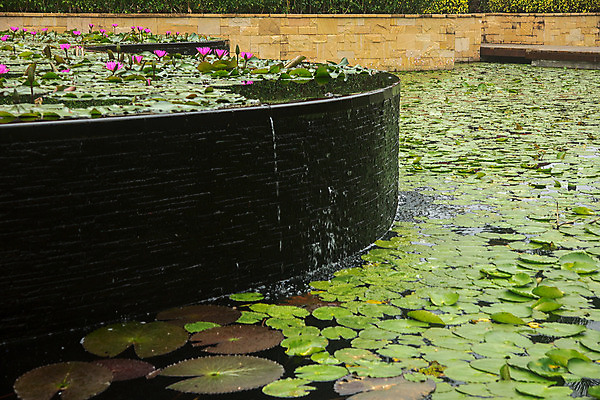 포토 JPG 해외이미지 꽃 자연 부동산 풍경 사람없음 물 환경 정원 중국 해외202004 해외포토 자연요소 식물 아시아 재산 생태계 파일형식 이미지허브