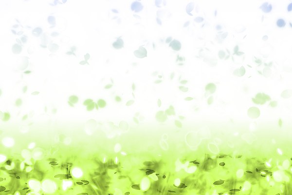 JPG 해외이미지 꽃잎 꽃 백그라운드 일러스트 사람없음 초록색 연두색 빛 그라데이션 카피스페이스 해외202004 해외일러스트 식물 컬러 공백 파일형식 이미지허브