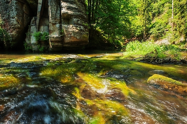 포토 JPG 해외이미지 나무 식물 계절 공원 여행 잎 자연 하늘 산 풍경 사람없음 야외 초록색 물 여름 파란색 강 반사 평화 환경 맑음 봄 폭포 젖음 흐름 가을 바위 시골 개울 떨어짐 숲 스위스 장면 체코 내추럴 공화국 해외202004 해외포토 자연요소 공공시설 유럽 나라 컬러 컨셉 날씨 돌_바위 생태계 파일형식 이미지허브