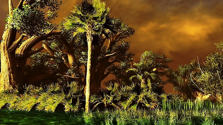 포토 JPG 해외이미지 공원 자연 하늘 열대 파노라마 풍경 사람없음 야외 일출 환경 황혼 일몰 새벽 다양 시골 저수지 황무지 티켓 보호 습지 저녁 숲 당구 생태계 서식지 변소 생태학 지리 플로리다 목가 해외202004 해외포토 자연요소 공공시설 교육 다수 컨셉 촬영기법 구기 노을 미국 야간 파일형식 이미지허브