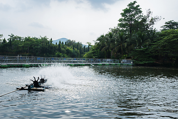 포토 JPG 해외이미지 나무 호수 백그라운드 농업 자연 휴식 풍경 사람없음 물 빛 기계 저수지 연못 댐 당구 고무 해외202004 해외포토 자연요소 식물 공공시설 산업 컨셉 구기 생태계 파일형식 이미지허브