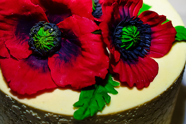 포토 JPG 해외이미지 식물 꽃잎 꽃 분홍색 꽃다발 꽃무늬 오렌지 자연 디저트 발렌타인데이 사람없음 장식 빨간색 초록색 여름 컬러풀 과자 케이크 꽃병 봄 벚꽃 흰색 냄비 데이지 양귀비 거베라 고립 해외202004 해외포토 계절 음식 컬러 무늬 과일 데이이벤트 솥 생태계 파일형식 이미지허브