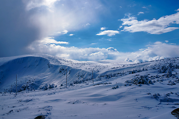 포토 JPG 해외이미지 나무 식물 구름 겨울 자국 하늘 산 경사 사람없음 하이킹 관목 폴란드 선로 제설기 가문비나무 해외202004 해외포토 자연요소 계절 유럽 레저 제설 파일형식 이미지허브