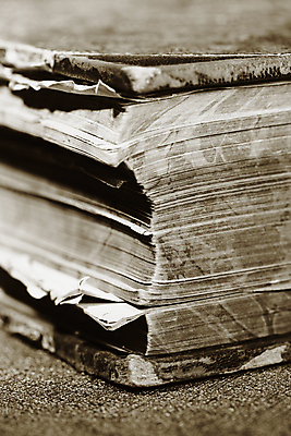 포토 JPG 해외이미지 흑백 사람없음 책 갈색 수확 묘사 오브젝트 문학 페이지 깨짐 세피아 옛날 해외202004 해외포토 컬러 컨셉 농업 촬영기법 파일형식 이미지허브