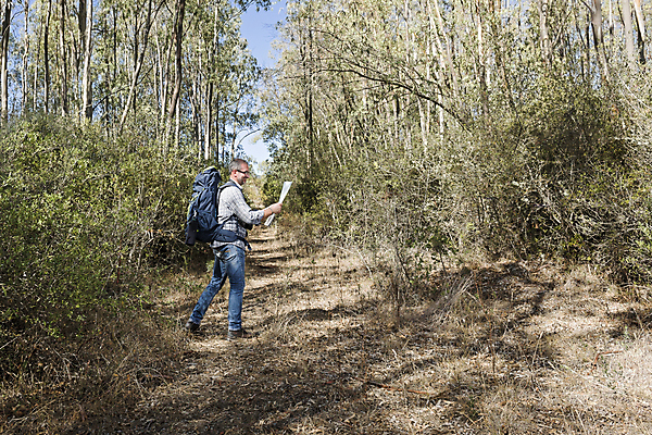 포토 JPG 해외이미지 나무 식물 1 라이프스타일 응시 계절 공원 노년 남자 스포츠 여행 배낭 자국 자연 수염 건강 한명 서기 풍경 성인 취미 야외 목재 여름 여행객 카메라 산책 하이킹 시골 숲 은퇴 사진사 장면 루트 옛날 오리엔테이션 하이커 해외202004 해외포토 시선 공공시설 가방 재료 모션 레저 휴식 사람 생활 전자제품 작가 생태계 파일형식 이미지허브