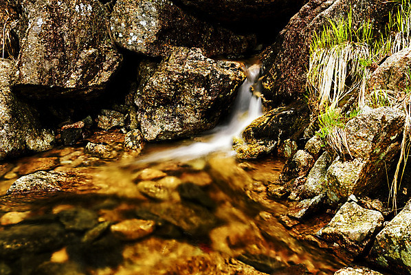 포토 JPG 해외이미지 식물 유럽 자연 북유럽 노르웨이 풍경 사람없음 물 개울 암초 스칸디나비아 해외202004 해외포토 자연요소 나라 강 생태계 파일형식 이미지허브