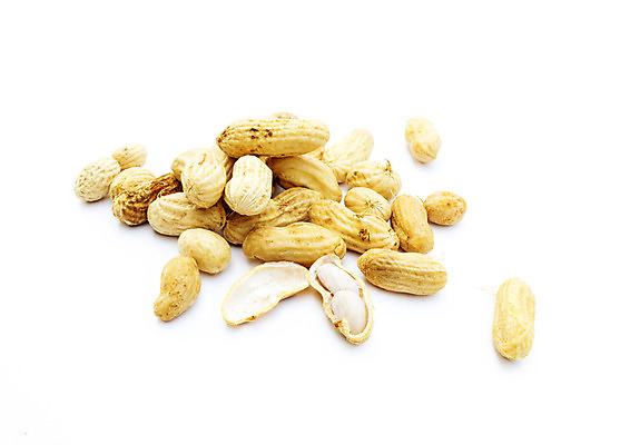 포토 JPG 해외이미지 식물 전통 계절 문화 음식 백그라운드 패턴 다이어트 과일 재료 자연 콩 건강 씨앗 사람없음 목재 갈색 노란색 견과류 껍질 흰색 신선 그룹 사발 맛 먹기 피부 오브젝트 유기농 질감 땅콩 내추럴 고립 끓이기 단백질 많음 해외202004 해외포토 나무 웰빙 컬러 컨셉 무늬 모션 곡류 신체부위 사기그릇 생태계 영양소 파일형식 이미지허브