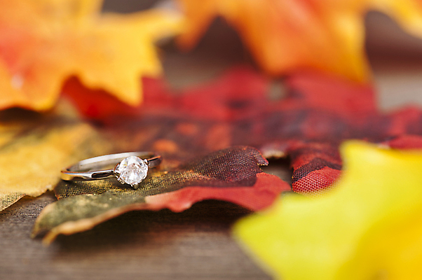 포토 JPG 해외이미지 디자인 결혼 잎 오렌지 불꽃 기념 발렌타인데이 선물 사랑 사람없음 장식 빨간색 빛 반사 노란색 파티 축제 가을 축하 반지 쌍 화려 황금 고급 은색 크리스탈 보석 다이아몬드 약혼 광 백금 접수 해외202004 해외포토 식물 계절 감정 컬러 컨셉 과일 장신구 데이이벤트 불 이벤트 광석 약속 파일형식 이미지허브