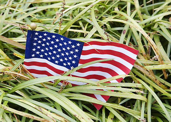 포토 JPG 해외이미지 식물 물결 잎 사람없음 빨간색 파란색 미국 흰색 깃발 봉 해외202004 해외포토 컬러 북아메리카 파일형식 이미지허브