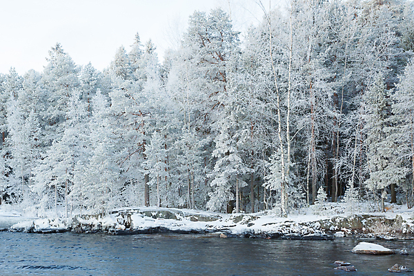 포토 JPG 해외이미지 주간 나무 겨울 자연 하늘 핀란드 사람없음 야외 강 눈 겨울풍경 해외202004 해외포토 자연요소 식물 계절 날씨 북유럽 풍경 생태계 파일형식 이미지허브