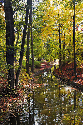 포토 JPG 해외이미지 호수 섬 자연 파노라마 사람없음 물 강 환경 젖음 안개 가을 저수지 연못 황무지 숲 홍수 생태계 뿌연 해외202004 해외포토 자연요소 계절 날씨 촬영기법 자연재해 파일형식 이미지허브