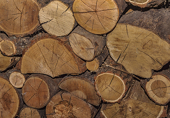 포토 JPG 해외이미지 나무 산업 백그라운드 겨울 패턴 자연 불 건조 사람없음 목재 갈색 쌓기 환경 재활용 에너지 껍질 시골 소나무 뜨거움 숲 장작 자르기 묘사 벽난로 질감 날것 통나무 연료 수납 자원 잡동사니 흙더미 다리찢기 내추럴 생태학 수목 원자재 화상 가문비나무 개조 해외202004 해외포토 자연요소 식물 계절 교육 컬러 무늬 재료 모션 흙 상처 친환경 생태계 파일형식 더미 이미지허브