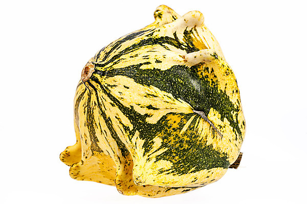 포토 JPG 해외이미지 계절 음식 백그라운드 채소 호박 사람없음 장식 초록색 노란색 할로윈 가을 흰색 그룹 9월 심볼 스쿼시 10월 고립 섞기 숙성 해외202004 해외포토 스포츠 컬러 구기 날짜 파일형식 이미지허브