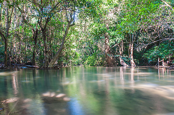 포토 JPG 해외이미지 나무 식물 공원 아시아 여행 잎 태국 자연 조류 산 바닥 동양인 사람없음 물 폭포 흐름 바위 신선 4 개울 숲 즐거움 수로 운하 층 내추럴 루트 전국 해외202004 해외포토 자연요소 동물 공공시설 감정 나라 컨셉 인종 강 숫자 돌_바위 생태계 파일형식 이미지허브