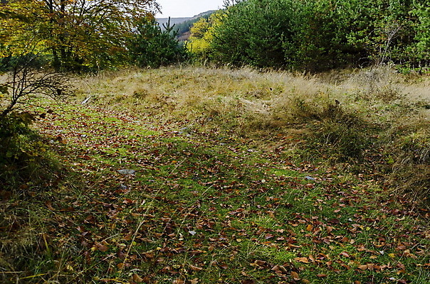 포토 JPG 해외이미지 나무 식물 구름 계절 여행 백그라운드 잎 오렌지 하늘 산 풍경 사람없음 야외 빨간색 초록색 빛 컬러풀 태양 노란색 환경 활발 가을 숲 언덕 내추럴 불가리아 웅장함 절정 환상 해외202004 해외포토 자연요소 컬러 컨셉 과일 파일형식 남유럽 이미지허브