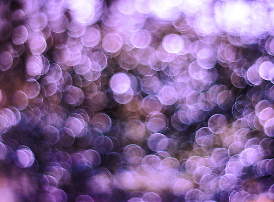 포토 JPG 해외이미지 사람없음 보라색 보케 빛망울 블러 블러효과 보케백그라운드 해외202004 해외포토 컬러 백그라운드 빛 파일형식 효과 이미지허브