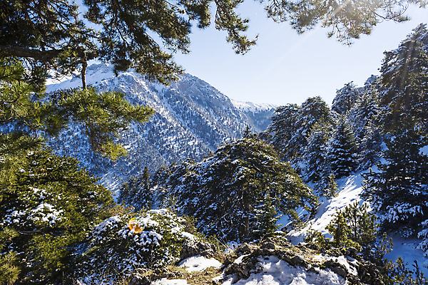 포토 JPG 해외이미지 주간 겨울 자연 하늘 나뭇잎 산 사람없음 야외 맑음 그리스 겨울풍경 해외202004 해외포토 자연요소 계절 유럽 잎 날씨 풍경 생태계 파일형식 이미지허브