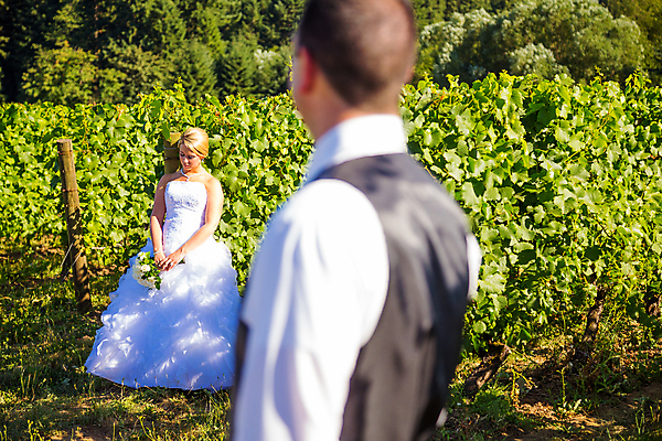 포토 JPG 해외이미지 백인 커플 드레스 여자 남자 행복 웨딩드레스 결혼 2 결혼식 사랑 사람 정장 턱시도 야외 두명 금발 희망 회색 흰색 포도밭 양조장 정중 해외202004 해외포토 서양인 헤어스타일 옷 감정 컬러 컨셉 밭 관계 이벤트 파일형식 이미지허브