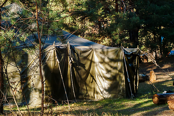 포토 JPG 해외이미지 나무 공원 스포츠 여행 밭 자연 아침 모바일 휴가 휴식 텐트 사람없음 야외 초록색 여름 빛 태양 환경 시골 소나무 황무지 숲 탈출 캠핑장 군용 캔버스 장면 주말 변장 내추럴 전국 차양 생존 해외202004 해외포토 주간 자연요소 식물 계절 공공시설 컬러 컨셉 농업 군대 캠핑도구 캠핑 생태계 파일형식 이미지허브