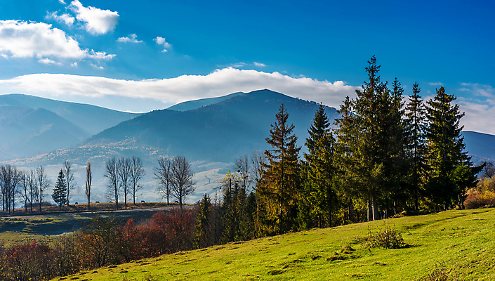 포토 JPG 해외이미지 나무 식물 공원 잎 자연 산 거리 풍경 경사 사람없음 야외 목재 귀여움 환경 가을 떨어짐 땅 언덕 산등성이 혹 산악지대 땅바닥 우울증 우크라이나 절정 가문비나무 해외202004 해외포토 계절 공공시설 유럽 컨셉 재료 바닥 질병 생태계 파일형식 이미지허브
