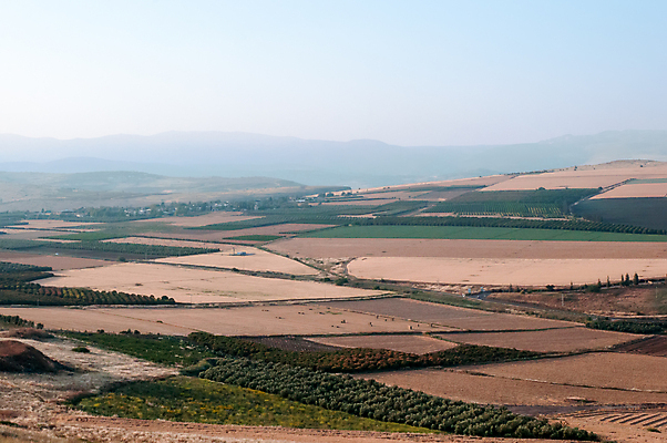 포토 JPG 해외이미지 호수 밭 농업 산 풍경 사람없음 여름 계곡 봄 언덕 이스라엘 해외202004 해외포토 계절 산업 서아시아 파일형식 이미지허브